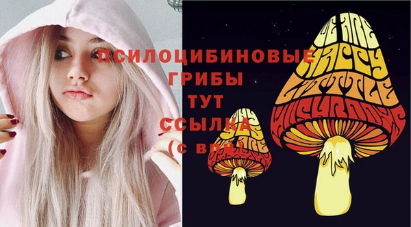 СК Алексеевка