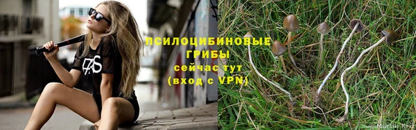 ГАЛЛЮЦИНОГЕННЫЕ ГРИБЫ Алзамай