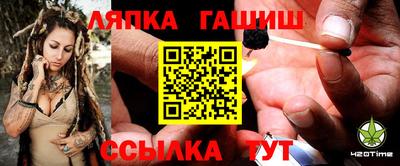 гидропоника Дубна