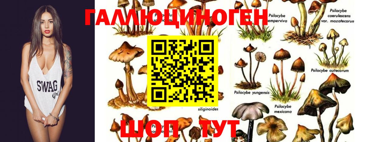 Галлюциногенные грибы мухоморы Нефтекамск