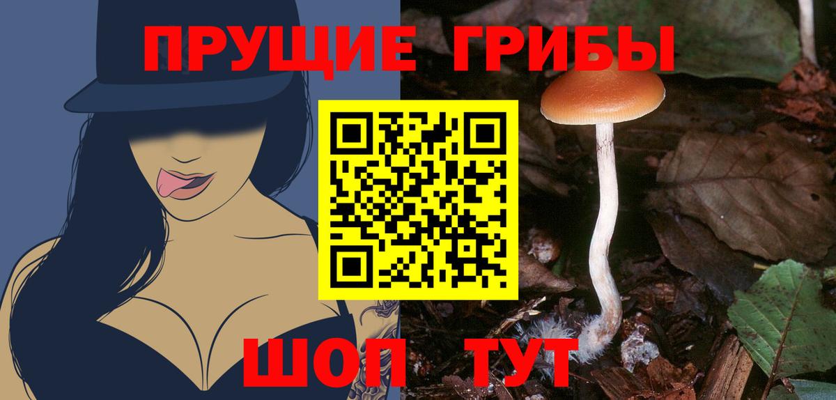 где купить наркоту  Вход с VPN  Нефтекамск  Галлюциногенные грибы Magic Shrooms  Галлюциногенные грибы GOLDEN TEACHER 